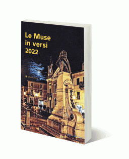 copmuseinversisito